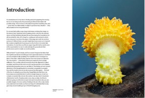 Gallery preview