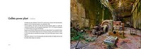 Gallery preview