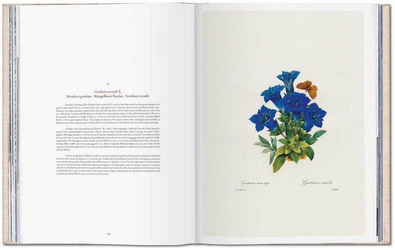 Redouté The Book Of Flowers by H. Walter Lack 9783836568937 Booktopia
