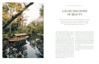 Gallery preview