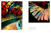 Gallery preview