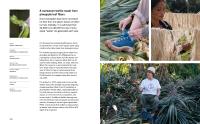 Gallery preview