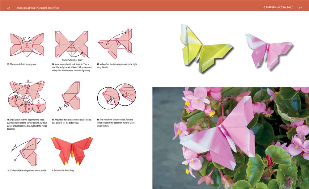 Origami Butterflies Kit: The Lafosse Butterfly Design System - Kit Includes  2 Origami Books, 12 Projects, 98 Origami Papers: Great for Both Kid (Other)