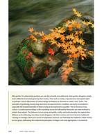 Gallery preview