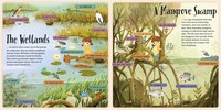 Gallery preview