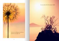 Gallery preview