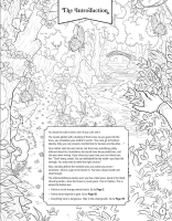 Gallery preview