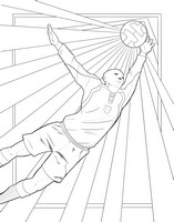 Gallery preview