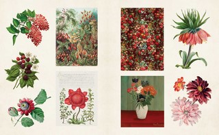 Gallery preview