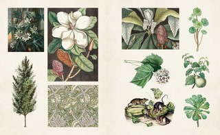 Gallery preview