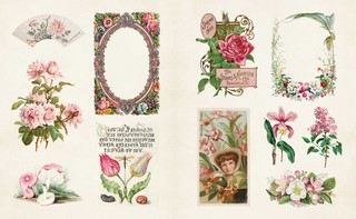 Gallery preview