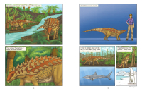 Gallery preview