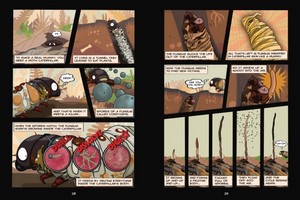 Gallery preview