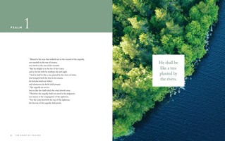 Gallery preview