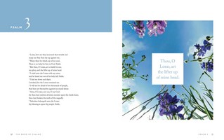 Gallery preview