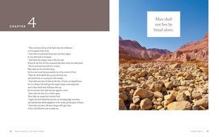 Gallery preview