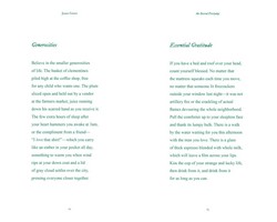 Gallery preview