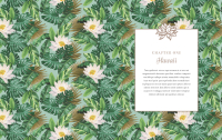Gallery preview