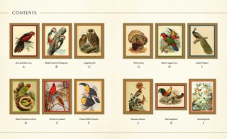 Gallery preview