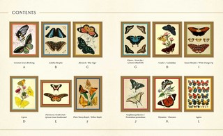 Gallery preview
