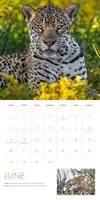 Gallery preview