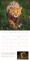 Gallery preview