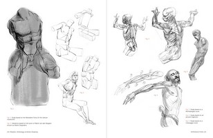 Gallery preview