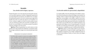 Gallery preview