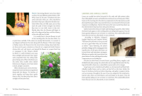 Gallery preview