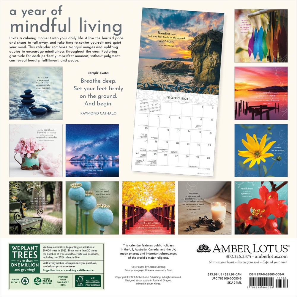 A Year of Mindful Living 2024 Wall Calendar, Mindfulness Reveals Our