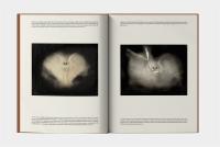 Gallery preview